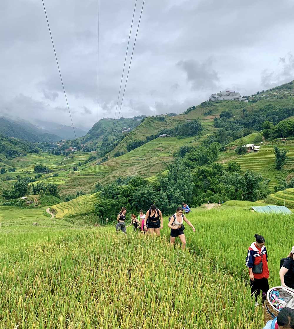 Things To Do In Sapa - hiking in sapa - sapa rice terraces